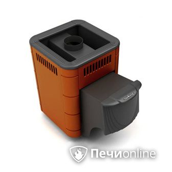 Дровяная банная печь TMF Оса Carbon терракота дверь антрацит в Берёзовском